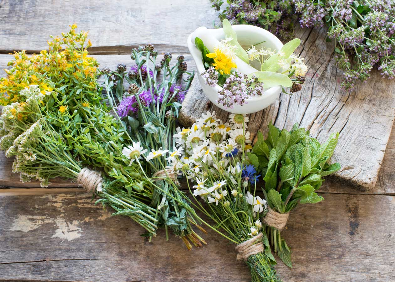 Todos los secretos de las flores comestibles para tu salud (I) – El Blog de  Rocalba