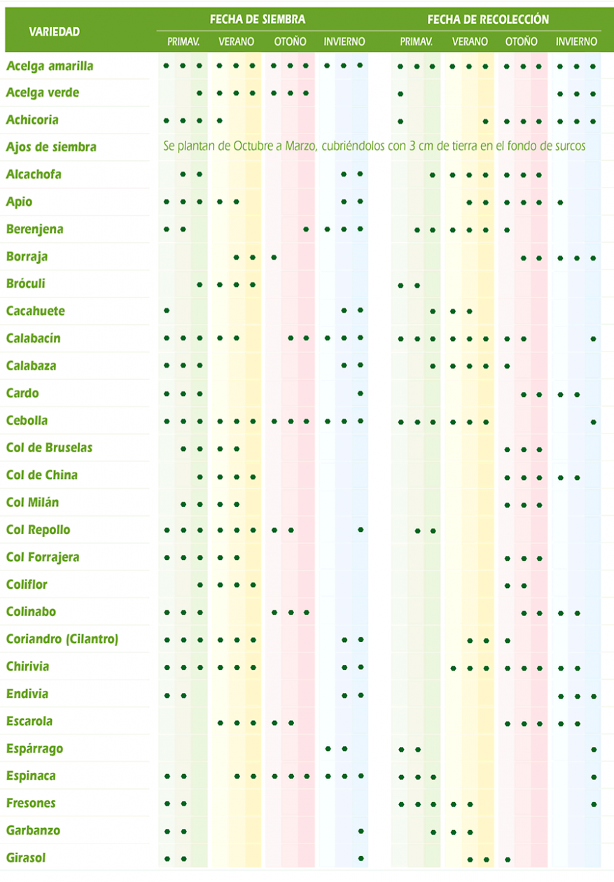 Tabla de cultivos hortícolas – El Blog de Rocalba