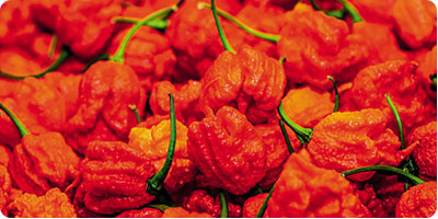 Hot peppers